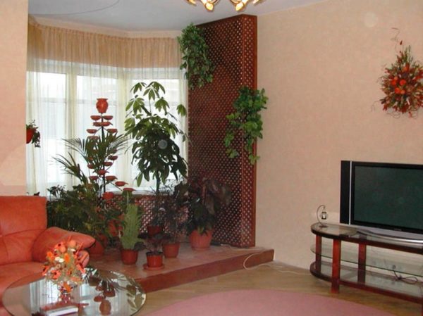 зимний сад в эркере