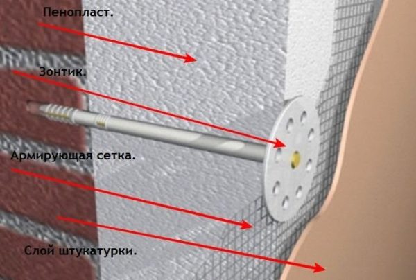 фото: пенопласт с грибком