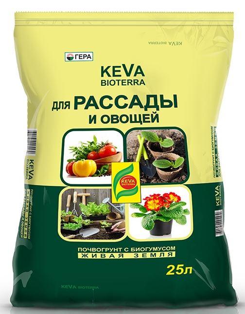 Выращивание помидор на балконе: особенности, рекомендации и советы специалистов