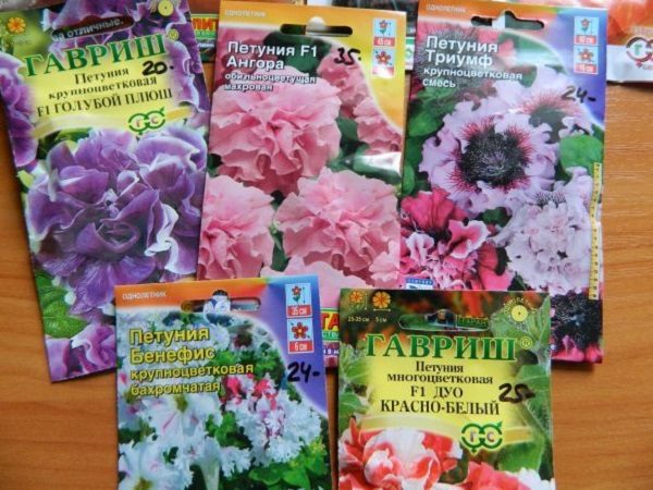 фото: семена петунии