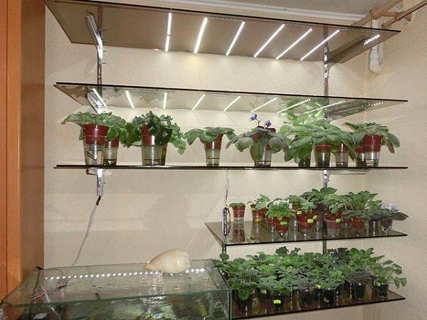 полки из стекла